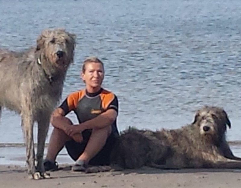 Die Hunde Mo und Heidi